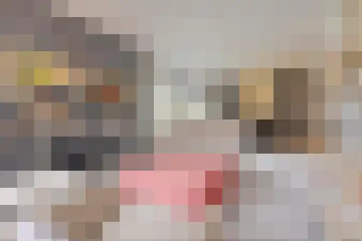 Baroniesingel 33 Vught thumbnail 17