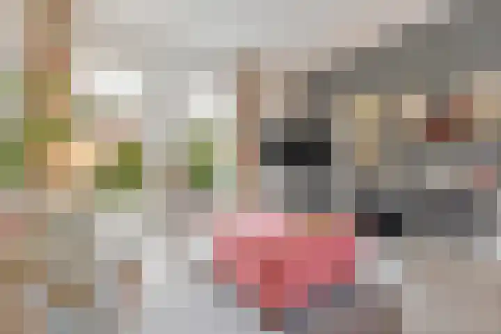 Baroniesingel 33 Vught thumbnail 19