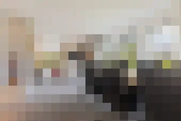 Baroniesingel 33 Vught thumbnail 22