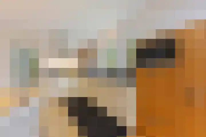 Baroniesingel 33 Vught thumbnail 27