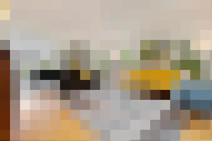 Baroniesingel 33 Vught thumbnail 4
