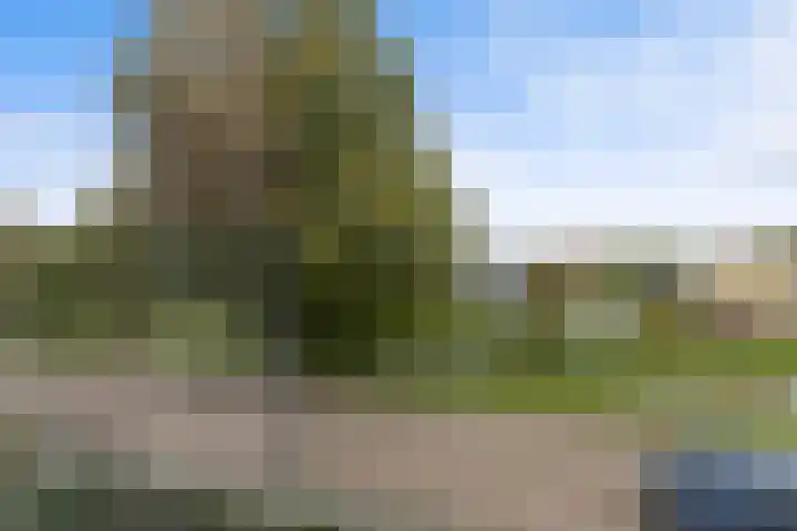 Baroniesingel 33 Vught thumbnail 45