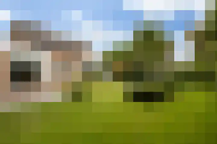 Baroniesingel 33 Vught thumbnail 51