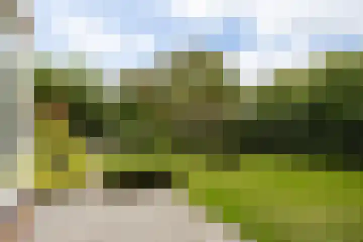 Baroniesingel 33 Vught thumbnail 52