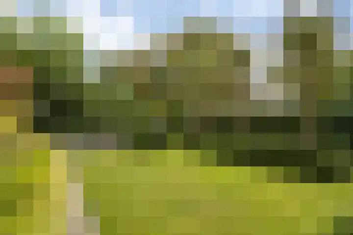 Baroniesingel 33 Vught thumbnail 53