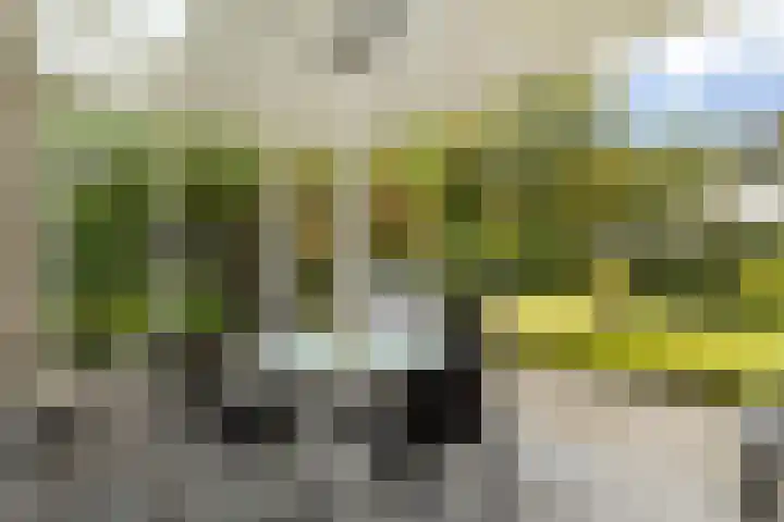 Baroniesingel 33 Vught thumbnail 55