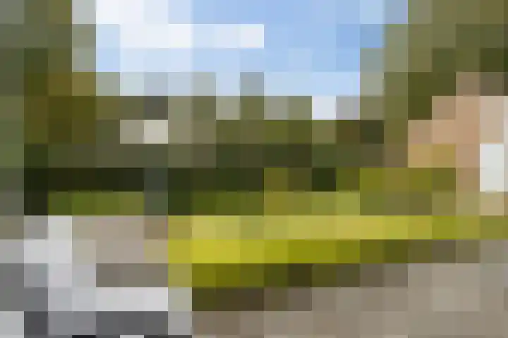 Baroniesingel 33 Vught thumbnail 56