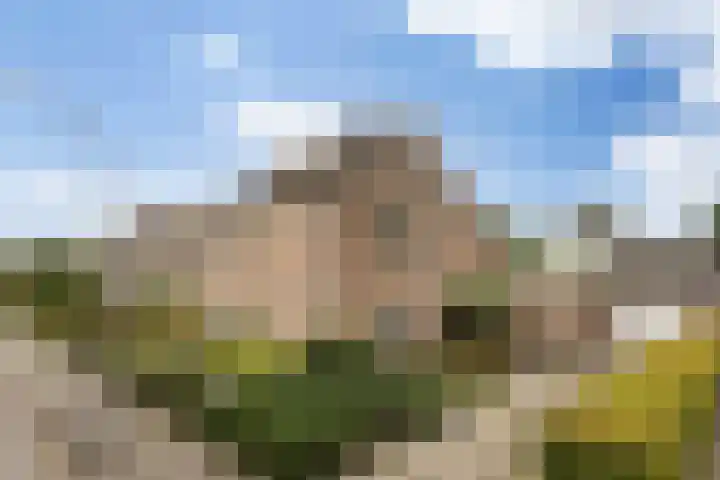 Baroniesingel 33 Vught thumbnail 9