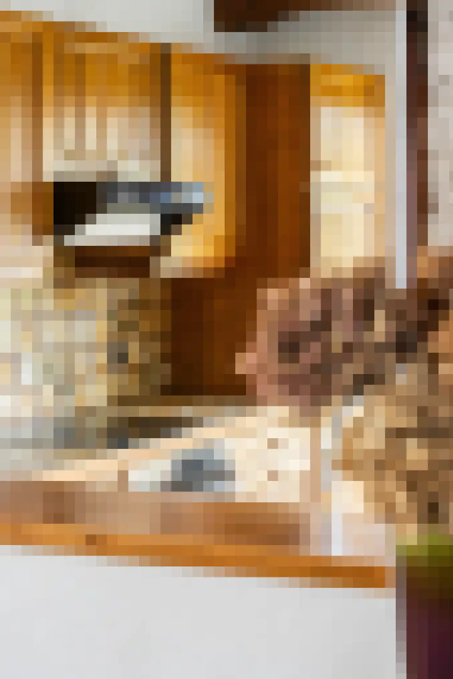 Baroniestraat 1 Baarle-Nassau thumbnail 18