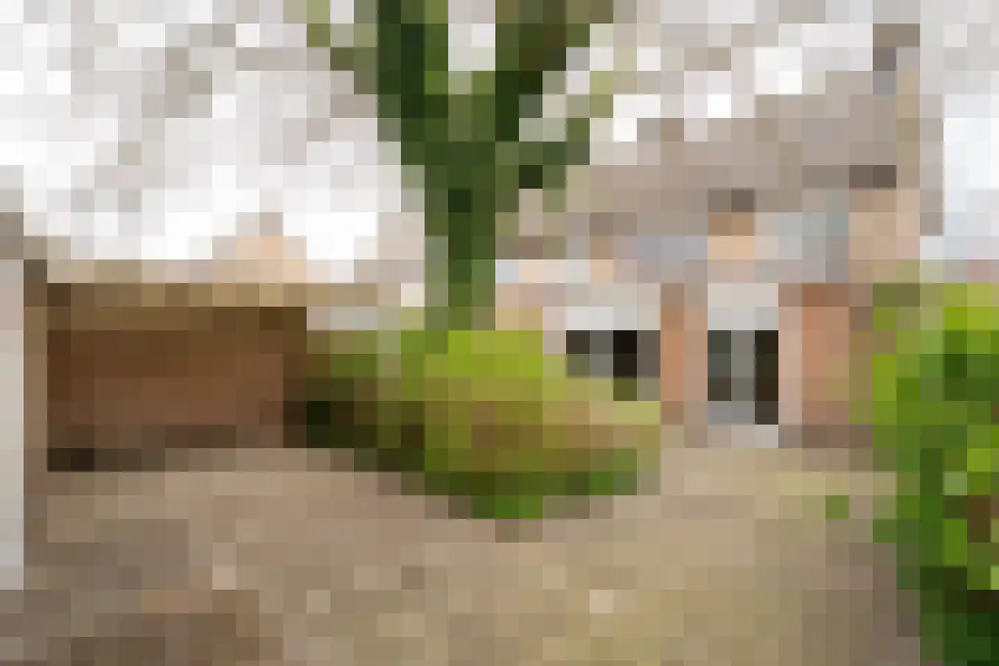 Baroniestraat 1 Baarle-Nassau thumbnail 39