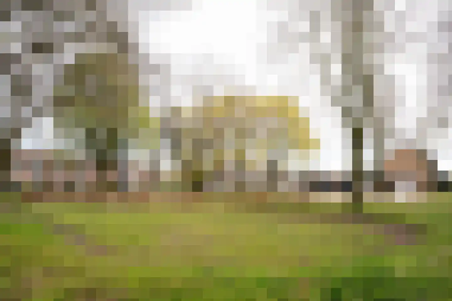 Baroniestraat 1 Baarle-Nassau thumbnail 50
