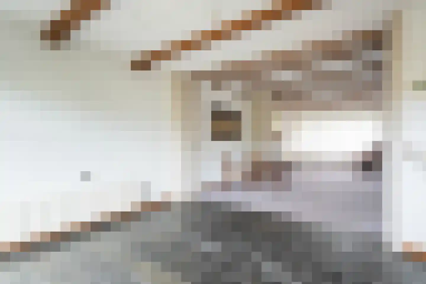 Baroniestraat 1 Baarle-Nassau thumbnail 7