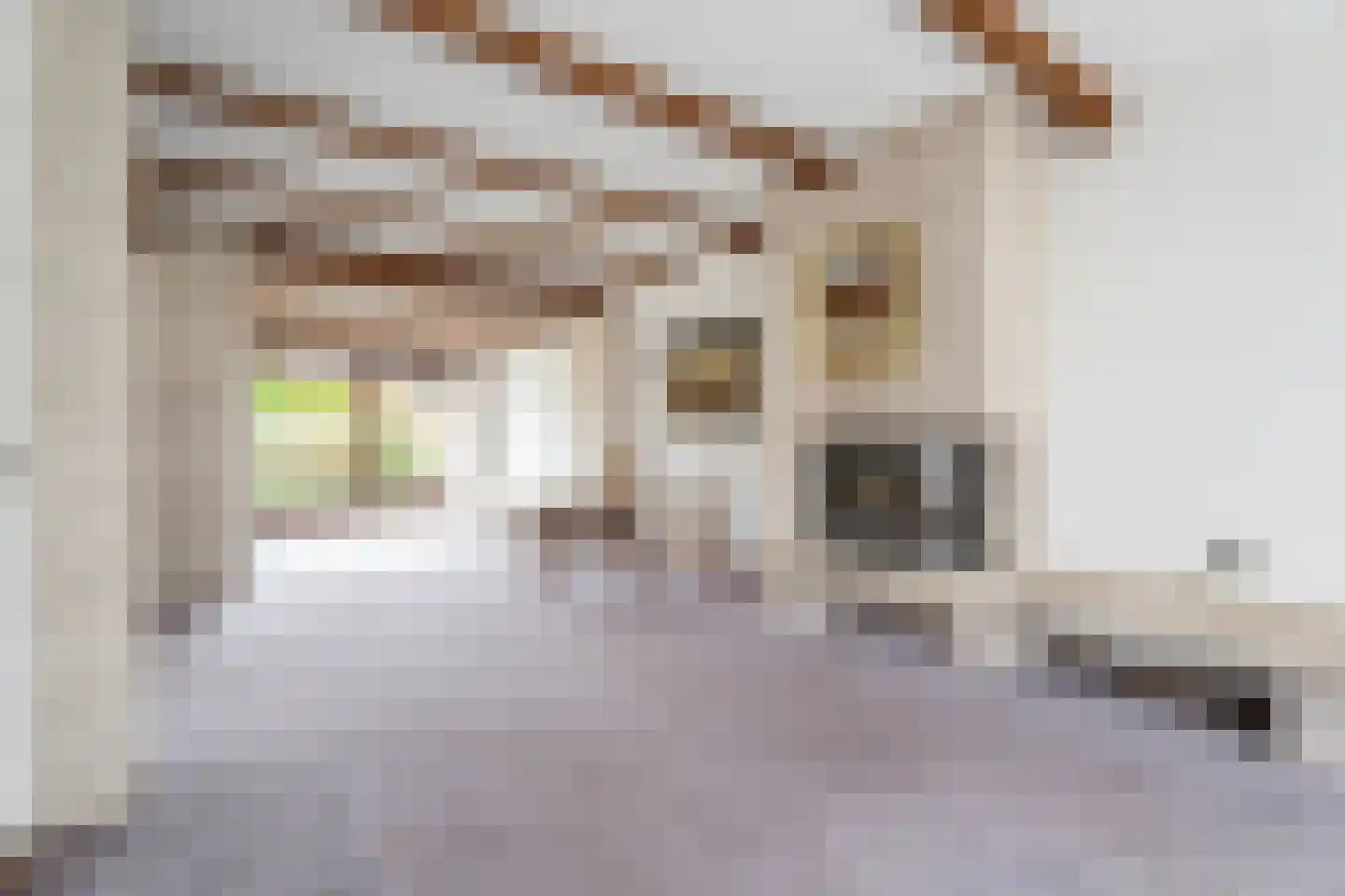Baroniestraat 1 Baarle-Nassau thumbnail 8