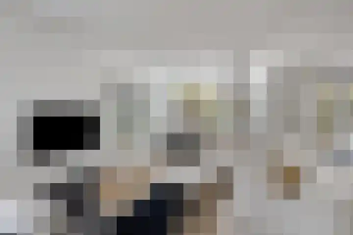 Baroniestraat 1 Chaam thumbnail 11