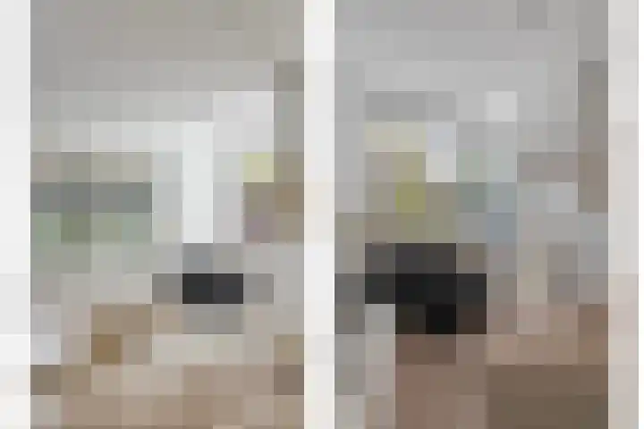 Baroniestraat 1 Chaam thumbnail 12