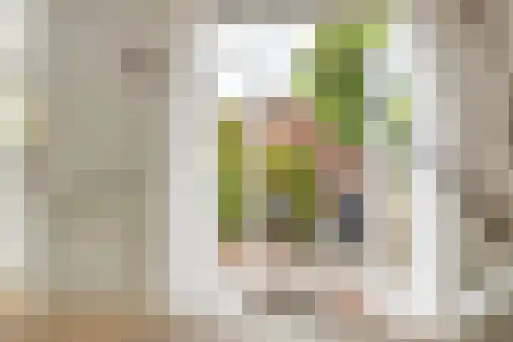 Baroniestraat 1 Chaam thumbnail 14