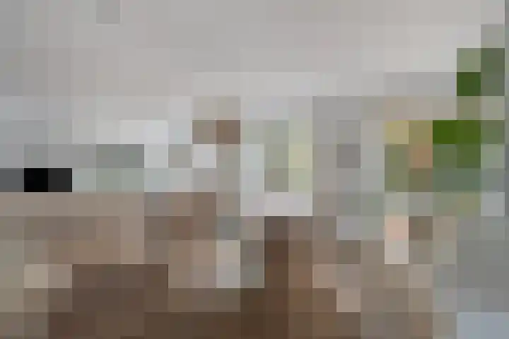 Baroniestraat 1 Chaam thumbnail 15