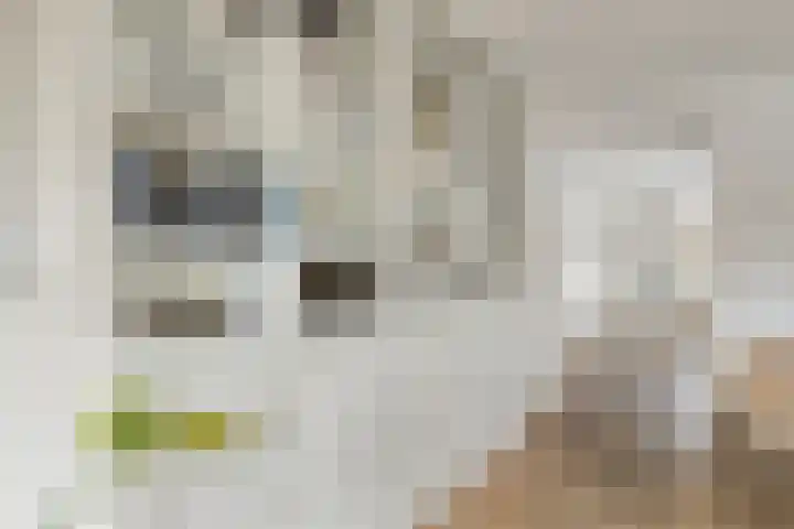 Baroniestraat 1 Chaam thumbnail 16