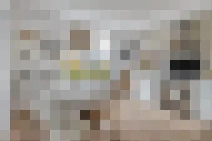 Baroniestraat 1 Chaam thumbnail 17