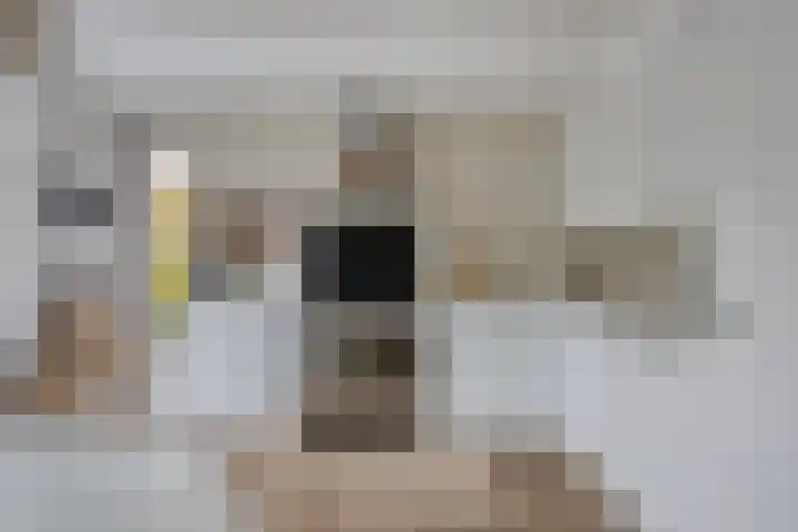 Baroniestraat 1 Chaam thumbnail 19