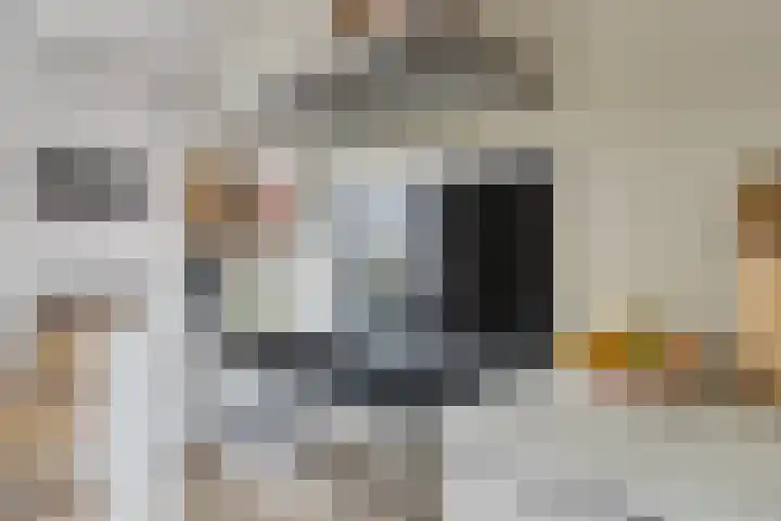 Baroniestraat 1 Chaam thumbnail 20