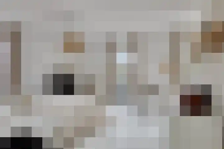 Baroniestraat 1 Chaam thumbnail 25