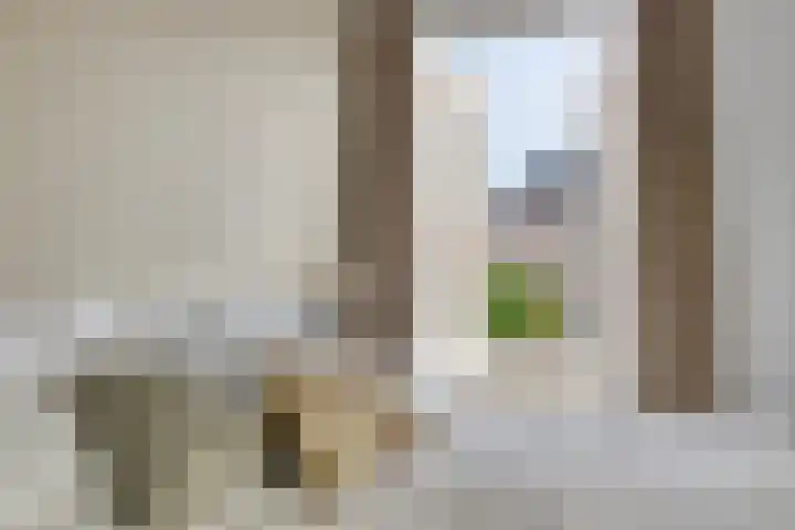 Baroniestraat 1 Chaam thumbnail 27