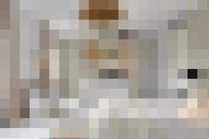 Baroniestraat 1 Chaam thumbnail 28