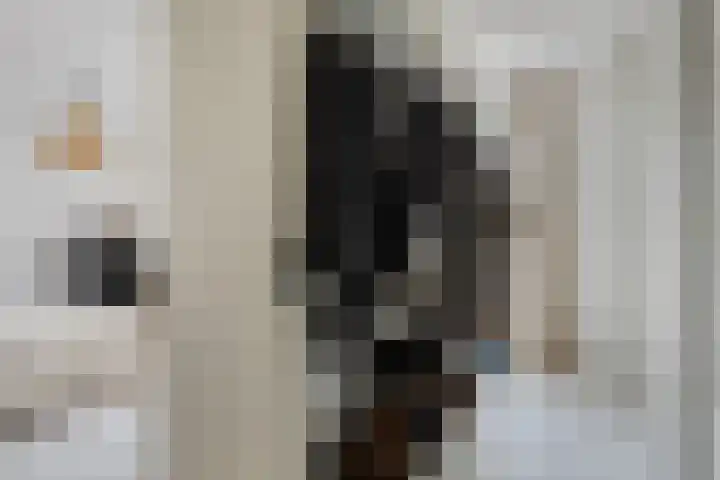 Baroniestraat 1 Chaam thumbnail 29