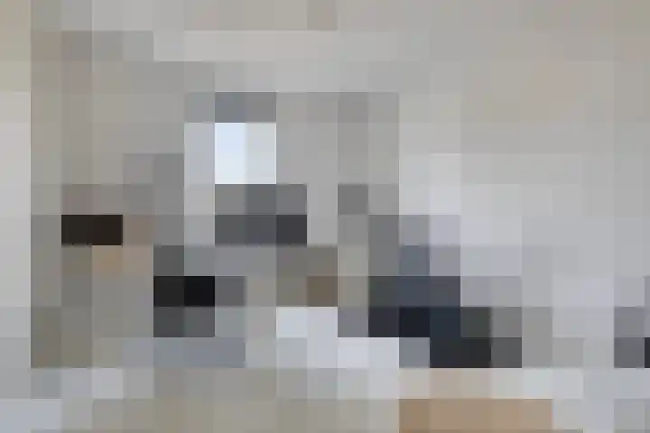 Baroniestraat 1 Chaam thumbnail 30
