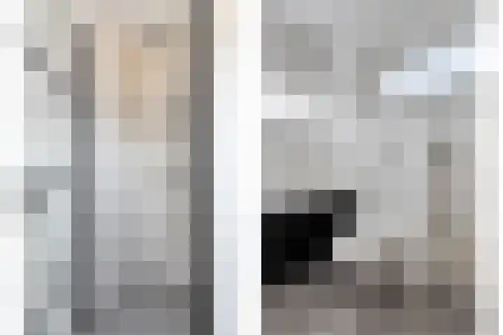 Baroniestraat 1 Chaam thumbnail 32
