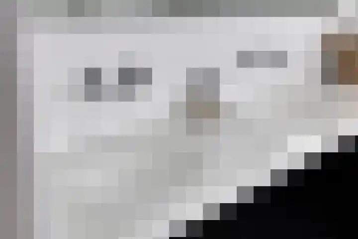 Baroniestraat 1 Chaam thumbnail 34