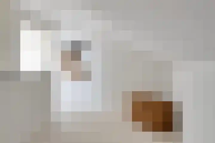 Baroniestraat 1 Chaam thumbnail 37