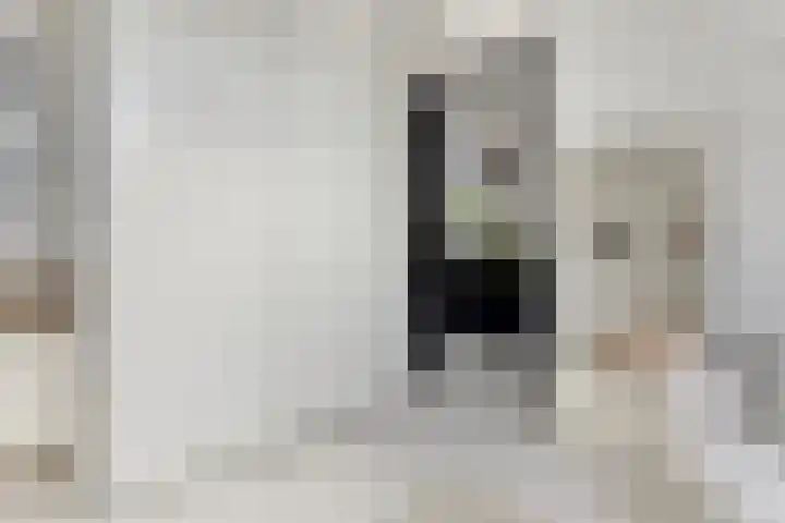 Baroniestraat 1 Chaam thumbnail 40