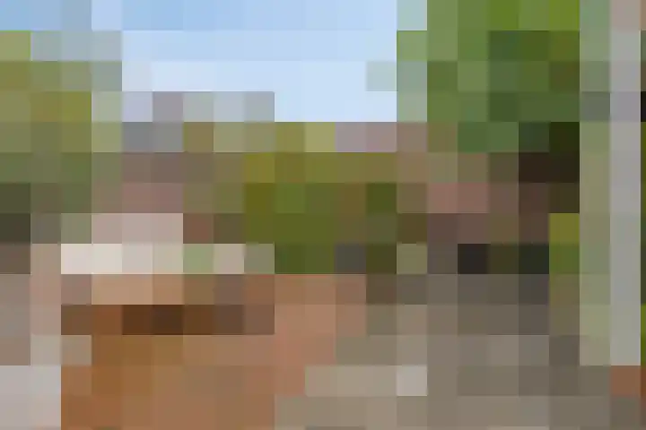 Baroniestraat 1 Chaam thumbnail 43