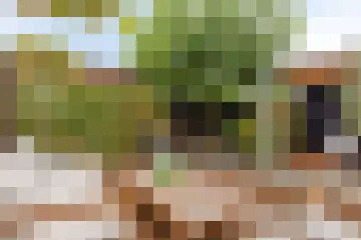 Baroniestraat 1 Chaam thumbnail 44