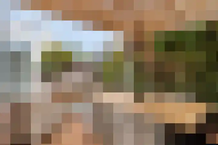 Baroniestraat 1 Chaam thumbnail 46