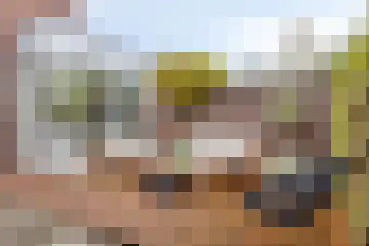 Baroniestraat 1 Chaam thumbnail 47