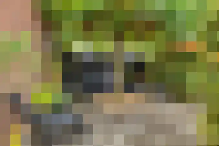Baroniestraat 1 Chaam thumbnail 49