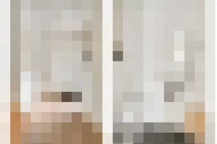 Baroniestraat 1 Chaam thumbnail 5