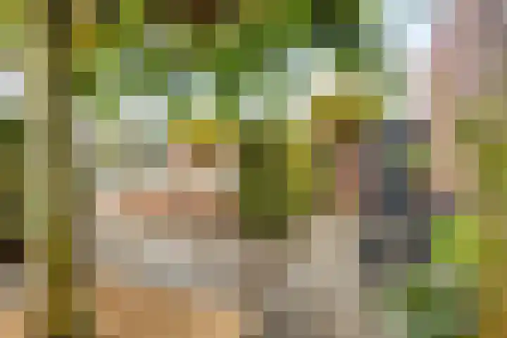 Baroniestraat 1 Chaam thumbnail 50
