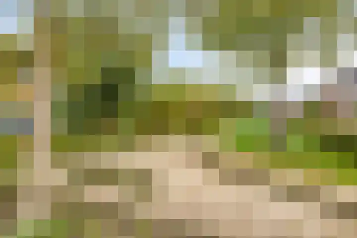 Baroniestraat 1 Chaam thumbnail 55