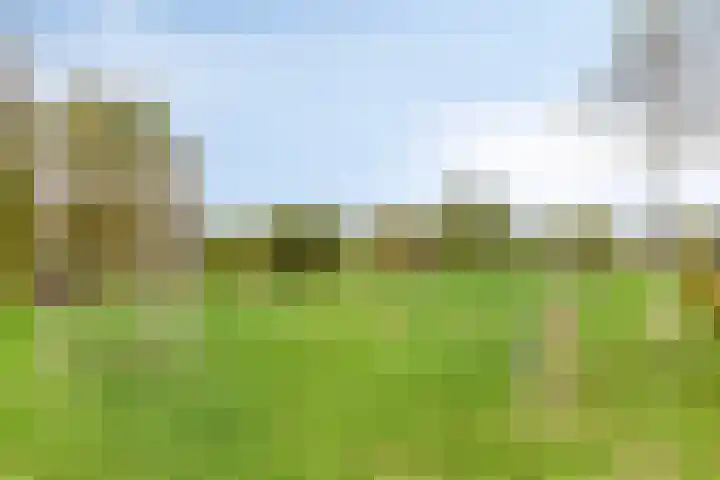 Baroniestraat 1 Chaam thumbnail 56