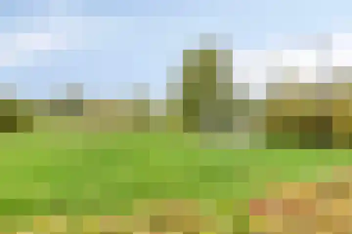 Baroniestraat 1 Chaam thumbnail 57