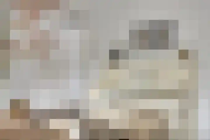 Baroniestraat 1 Chaam thumbnail 7
