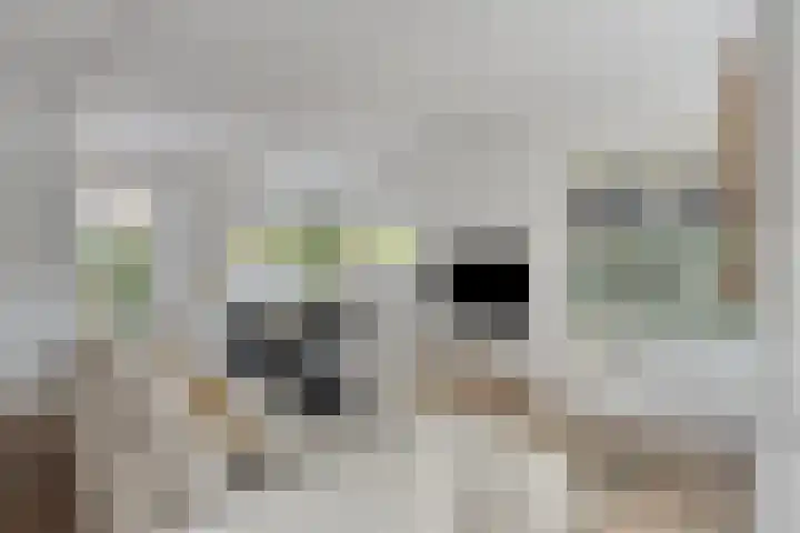 Baroniestraat 1 Chaam thumbnail 9