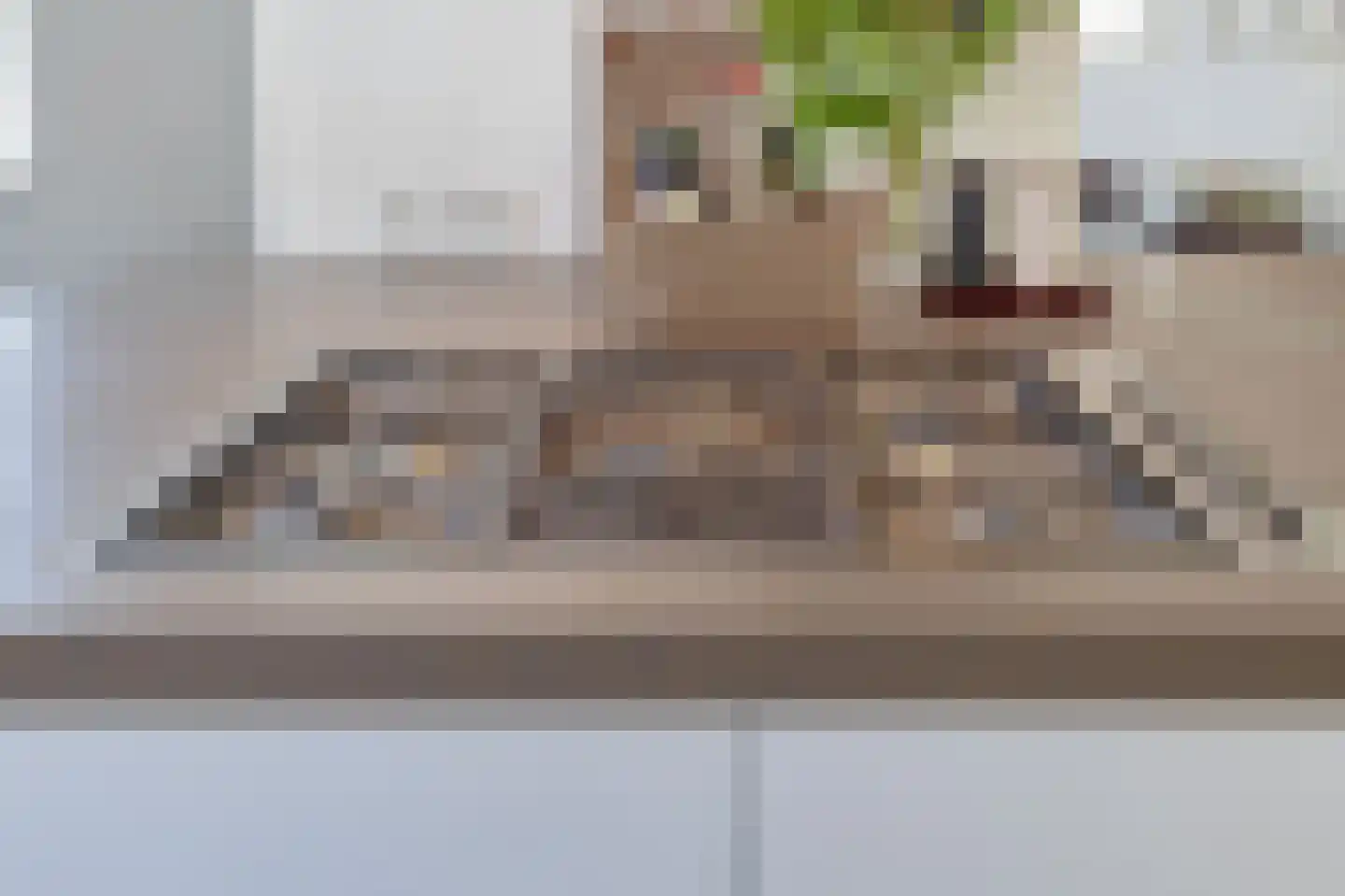 Baroniestraat 1 Gronsveld thumbnail 13