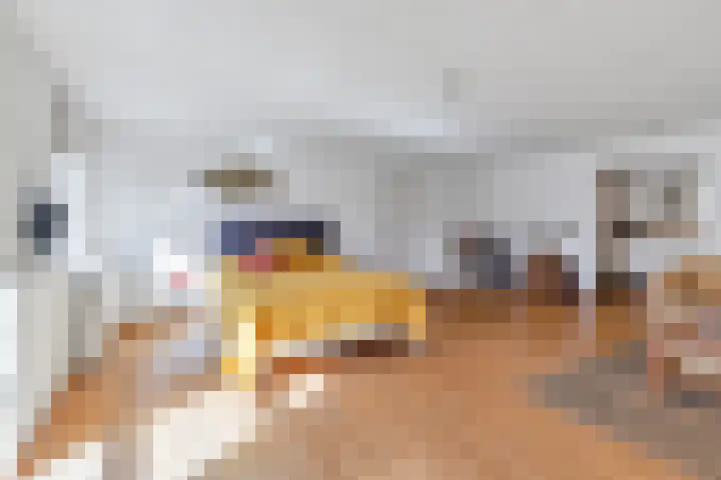 Baroniestraat 1 Gronsveld thumbnail 17