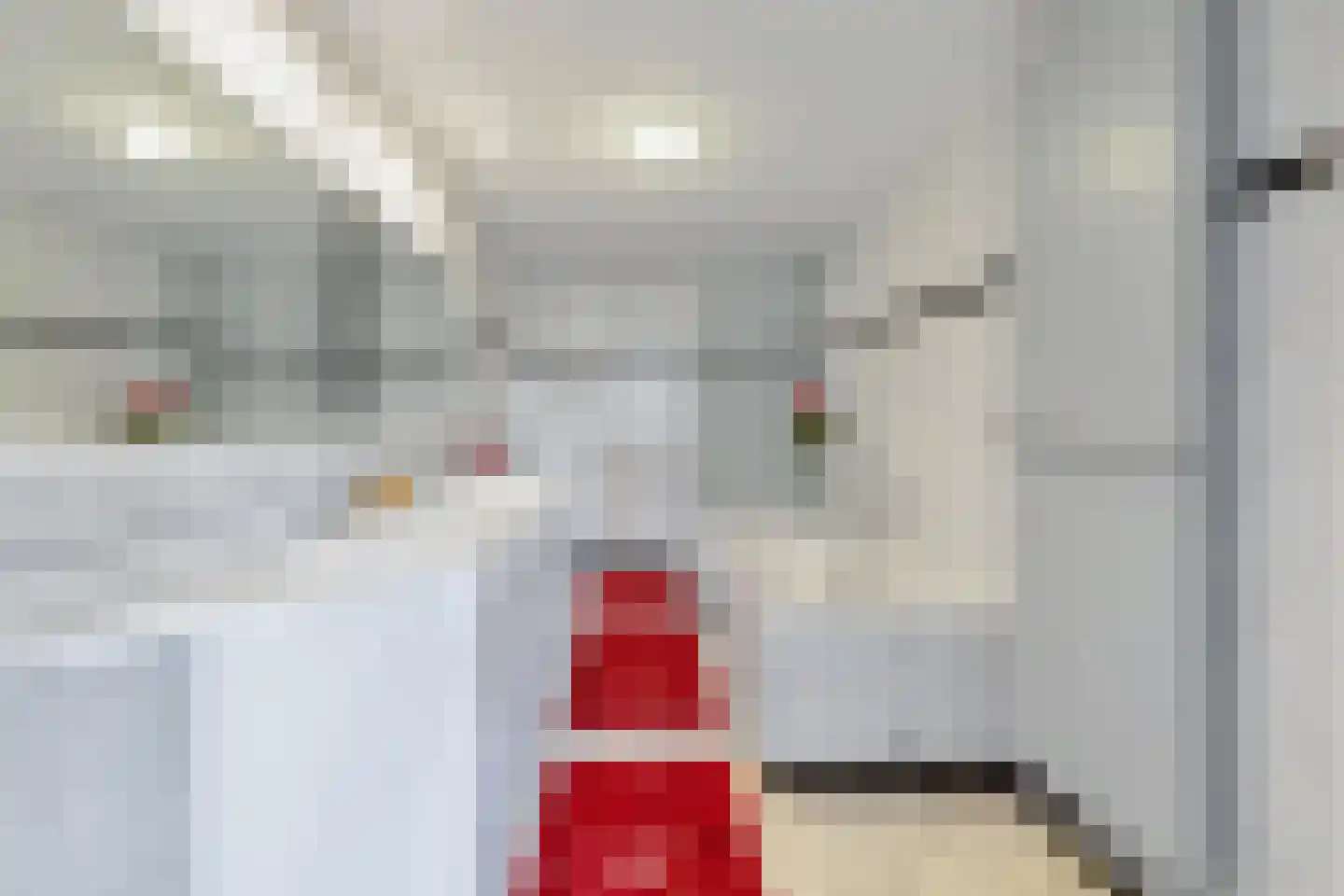 Baroniestraat 1 Gronsveld thumbnail 27
