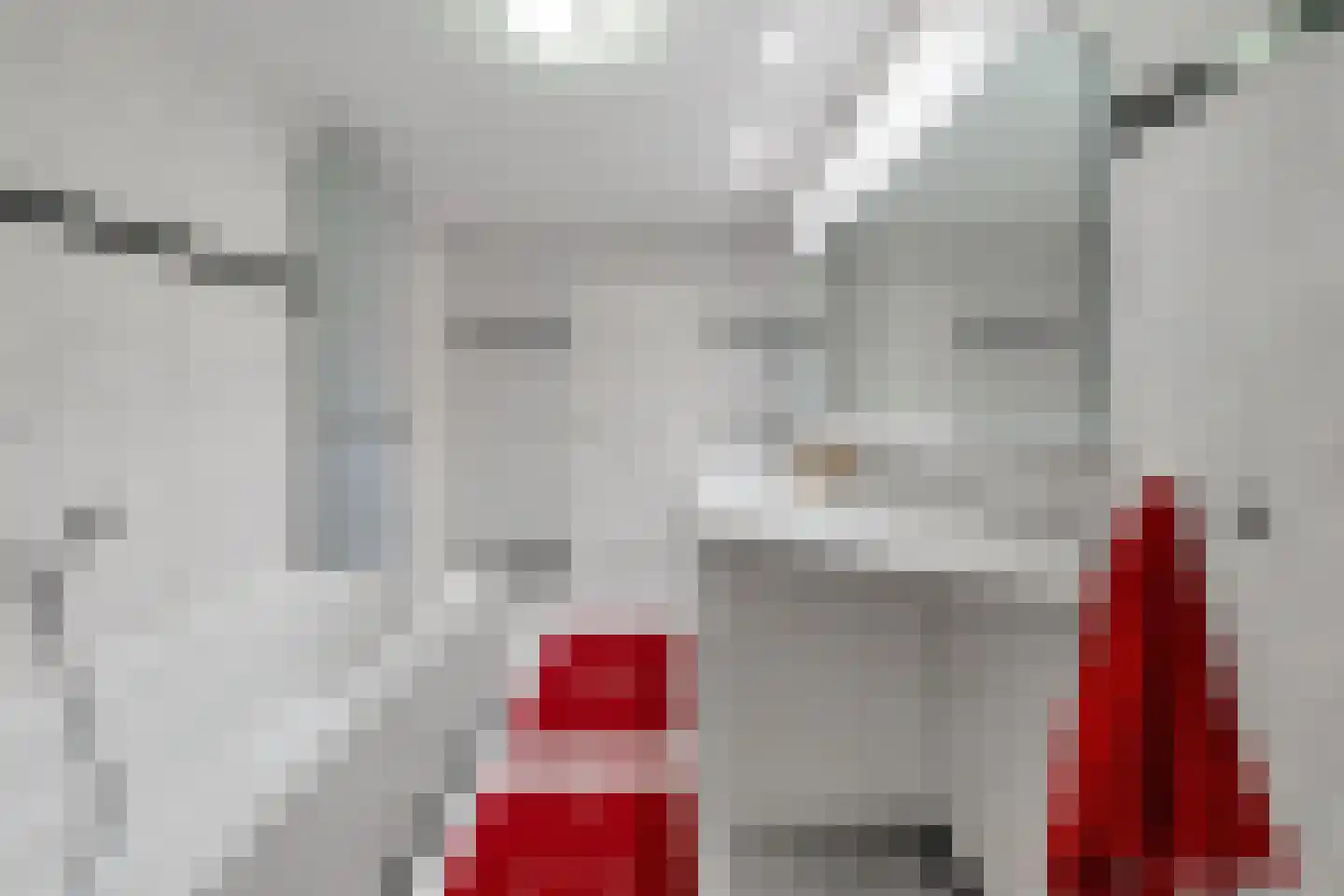 Baroniestraat 1 Gronsveld thumbnail 28